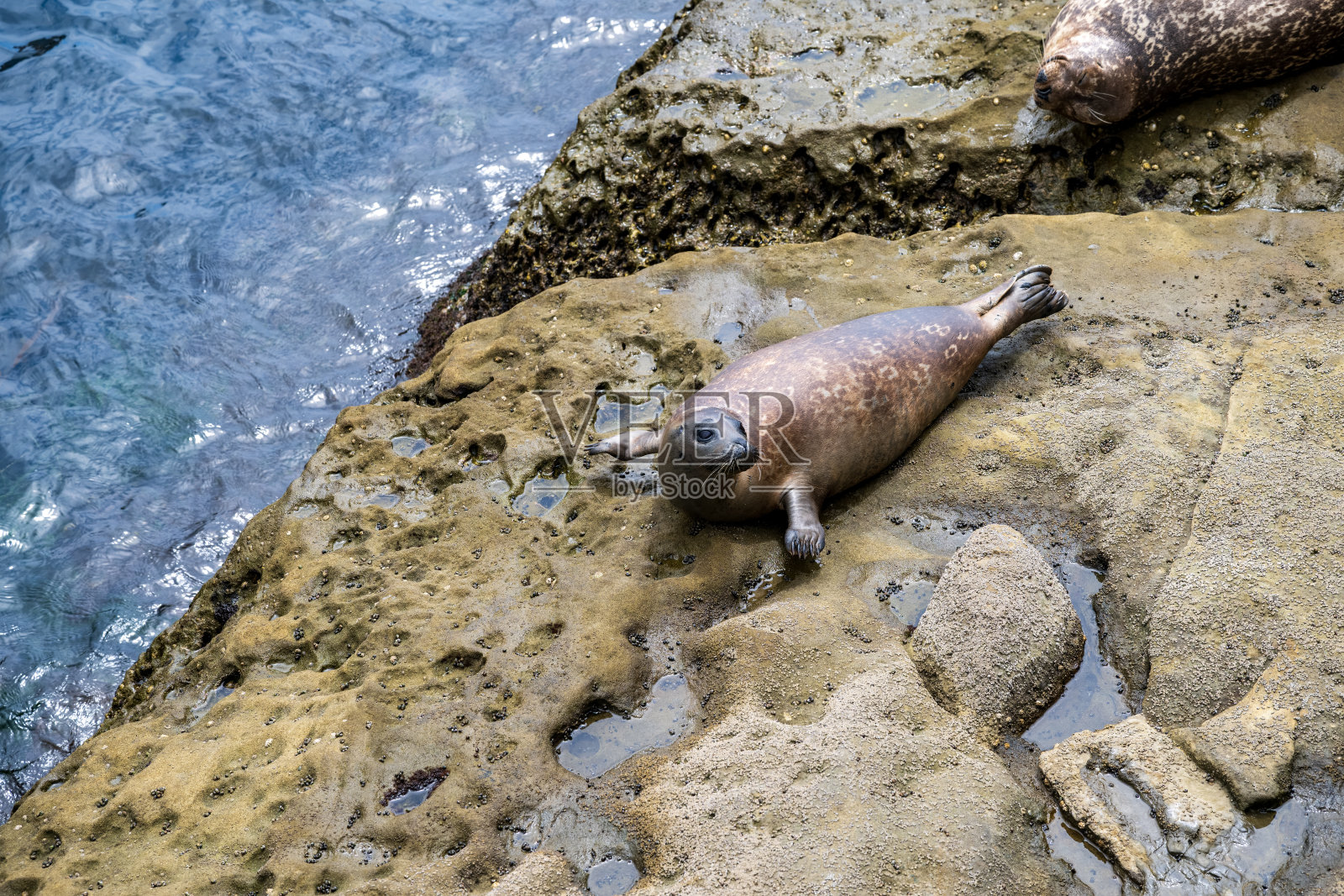 拉荷亚儿童泳池照片摄影图片