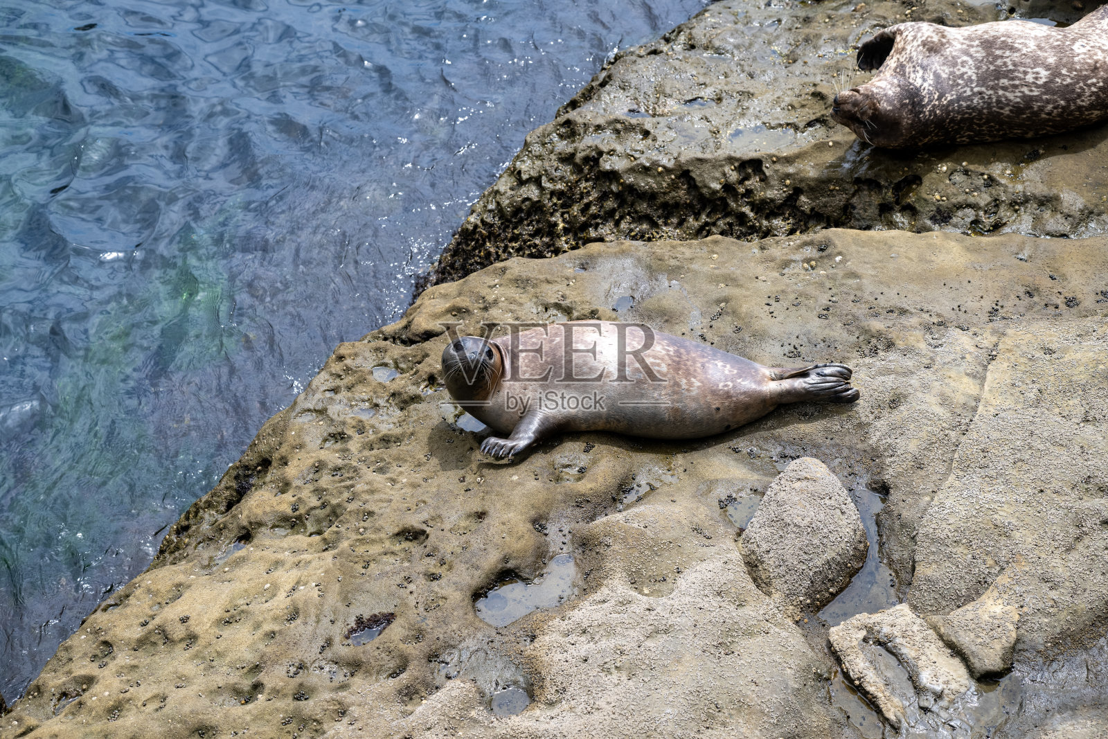 拉荷亚儿童泳池照片摄影图片