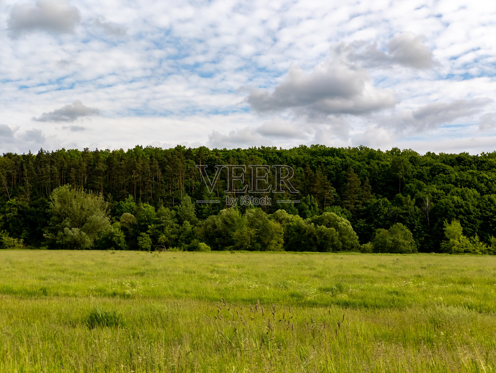 一片草地，背景有树木，天空中有云彩照片摄影图片