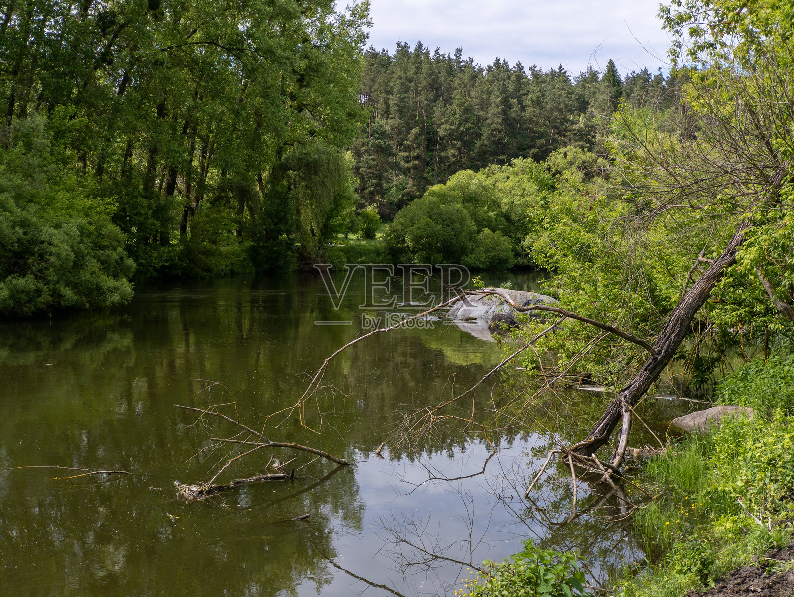 一条位于林区中央的河流，周围有树木和岩石照片摄影图片
