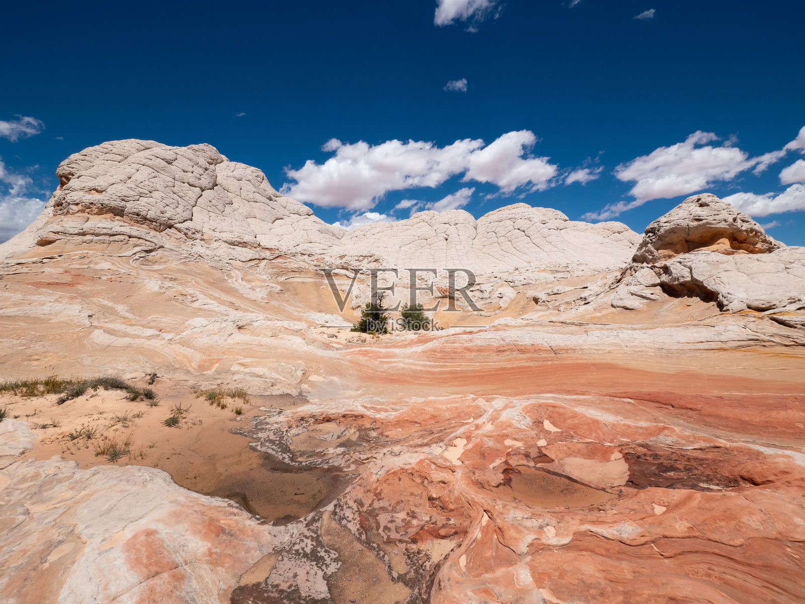 亚利桑那州红岩悬崖国家纪念碑的白口独特砂岩地貌。照片摄影图片