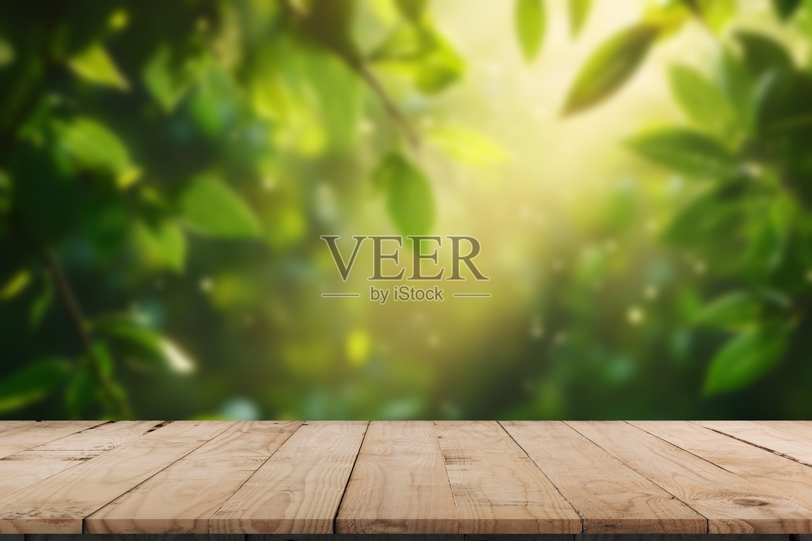 木地板的视角与阳光透过的绿色森林。照片摄影图片