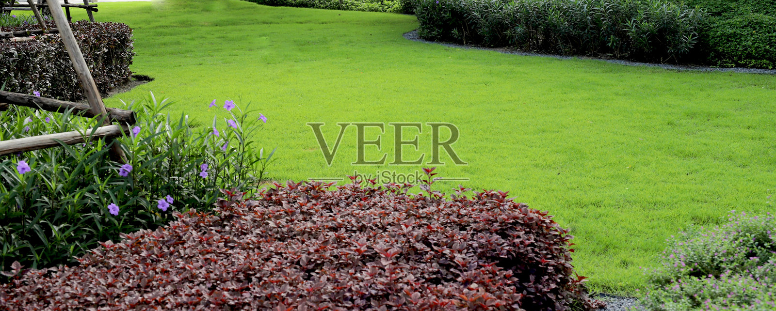 住宅区公共公园中的绿草照片摄影图片