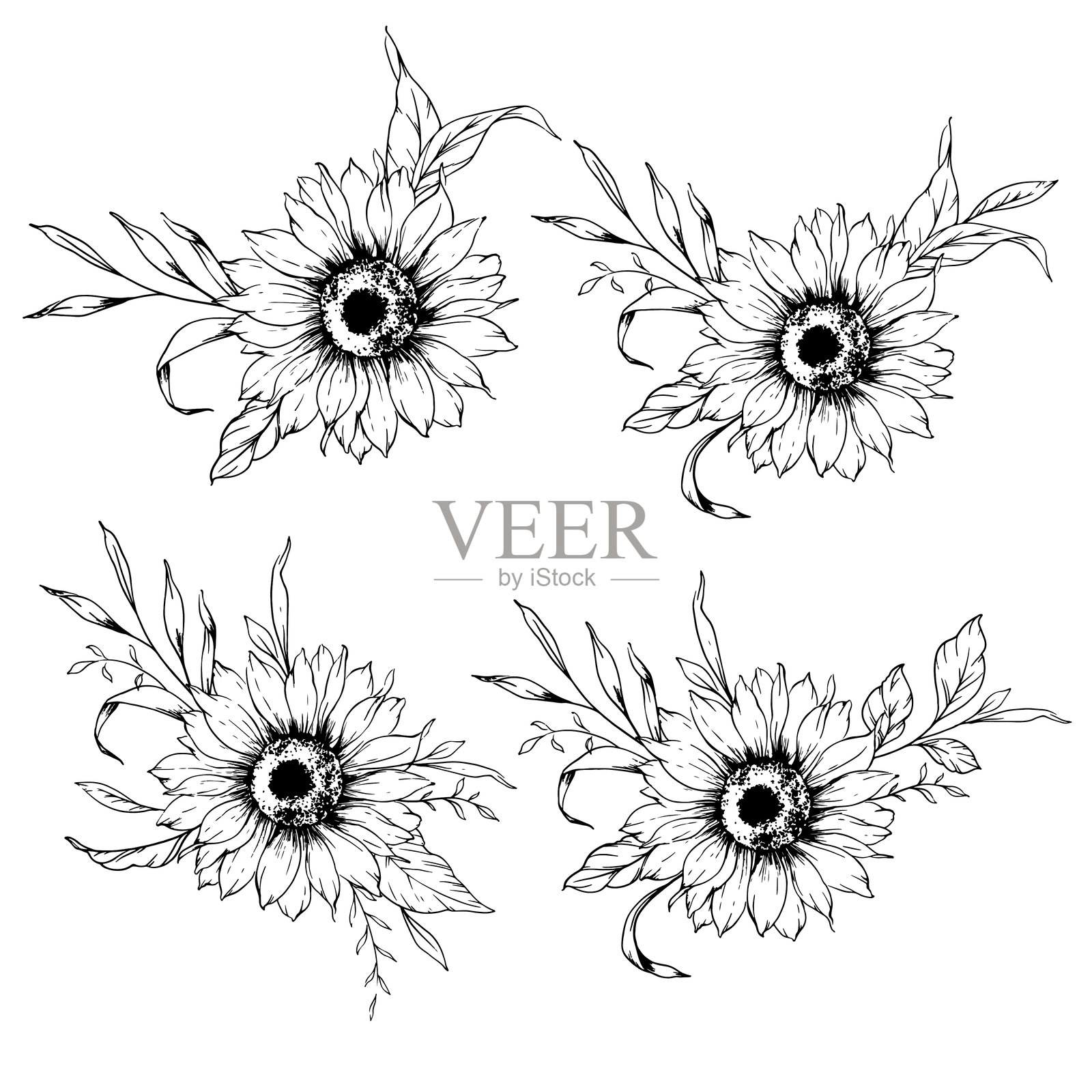 向日葵线条画。向日葵轮廓插图。手绘向日葵剪影。单色花卉线条艺术。用于包装和标签的墨水向日葵画作。插画图片素材