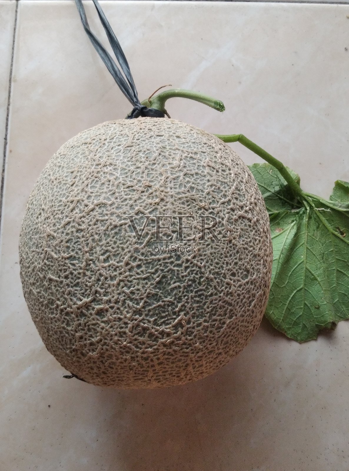 瓜照片摄影图片