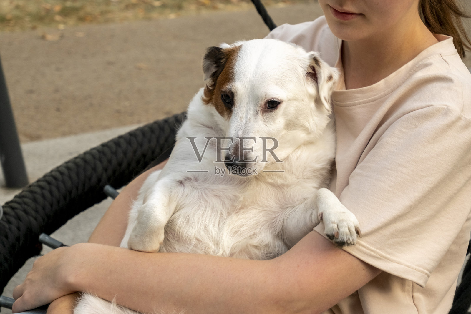 一个人在公园的绳索秋千上坐着，轻轻抱着一只小狗。小狗的平静神态和放松姿势在树木间营造出宁静舒适的场景。照片摄影图片