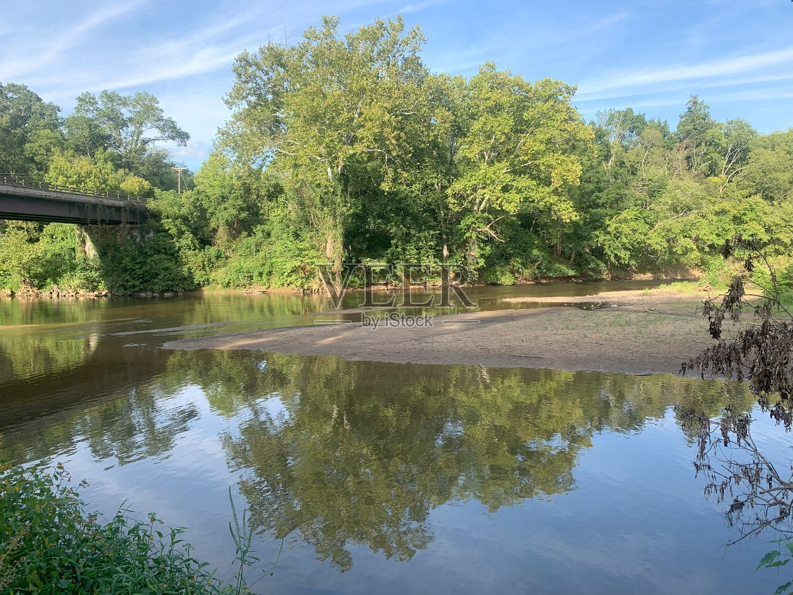 绿意照片摄影图片