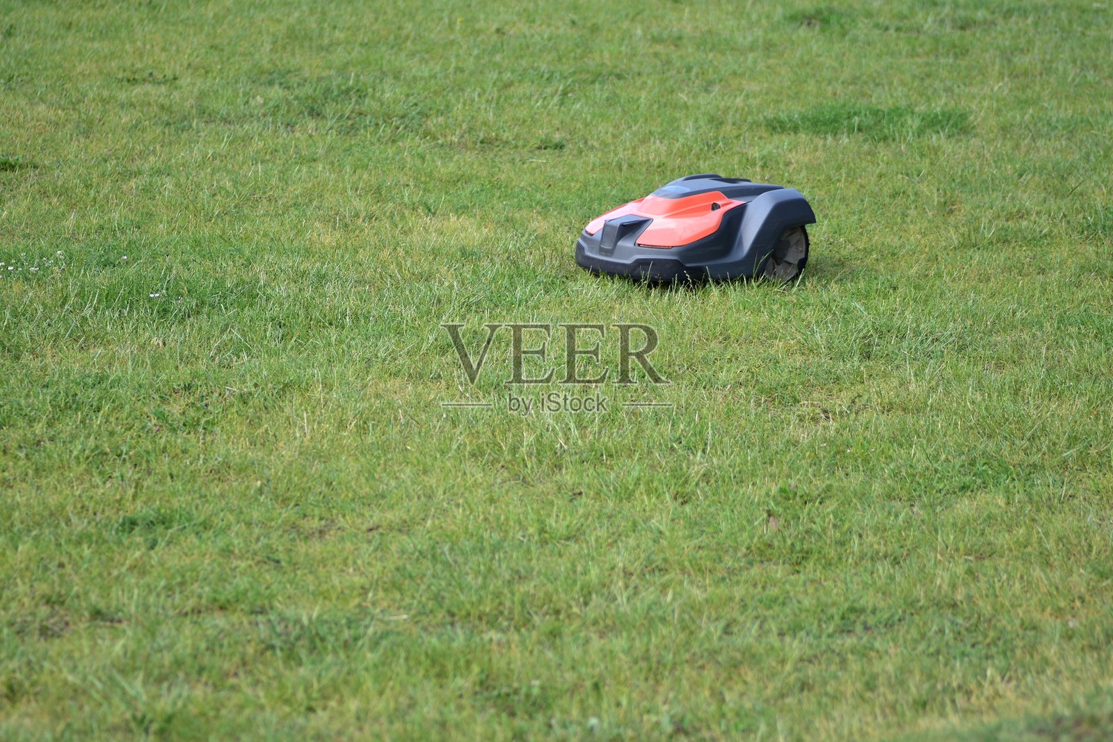 自主机器人割草机在草坪上工作。智能园艺技术让草坪护理变得轻松。环保、省时的现代园林和户外维护解决方案。照片摄影图片