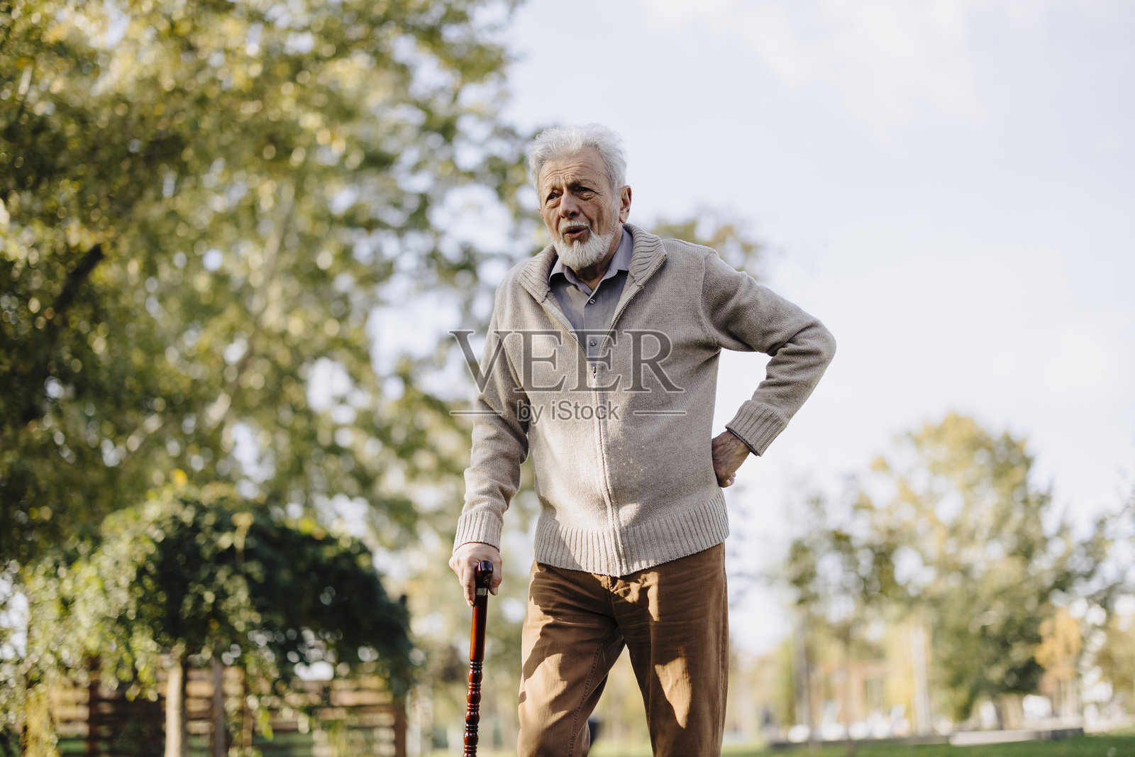 公园里手持拐杖的老年男性肖像。照片摄影图片