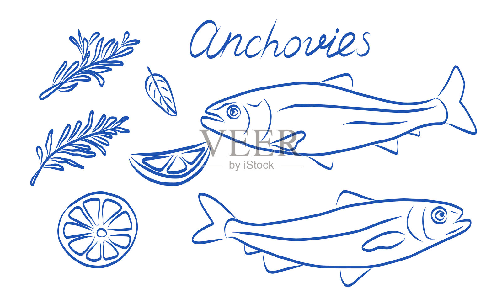 艺术插图展示新鲜的凤尾鱼与各种美味配料搭配插画图片素材