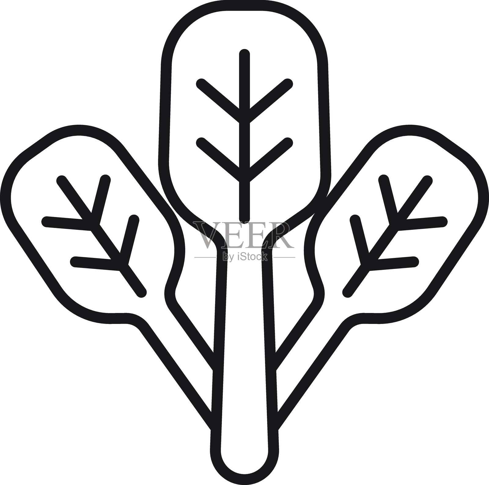 细线风格的绿叶蔬菜或植物图标插图。插画图片素材