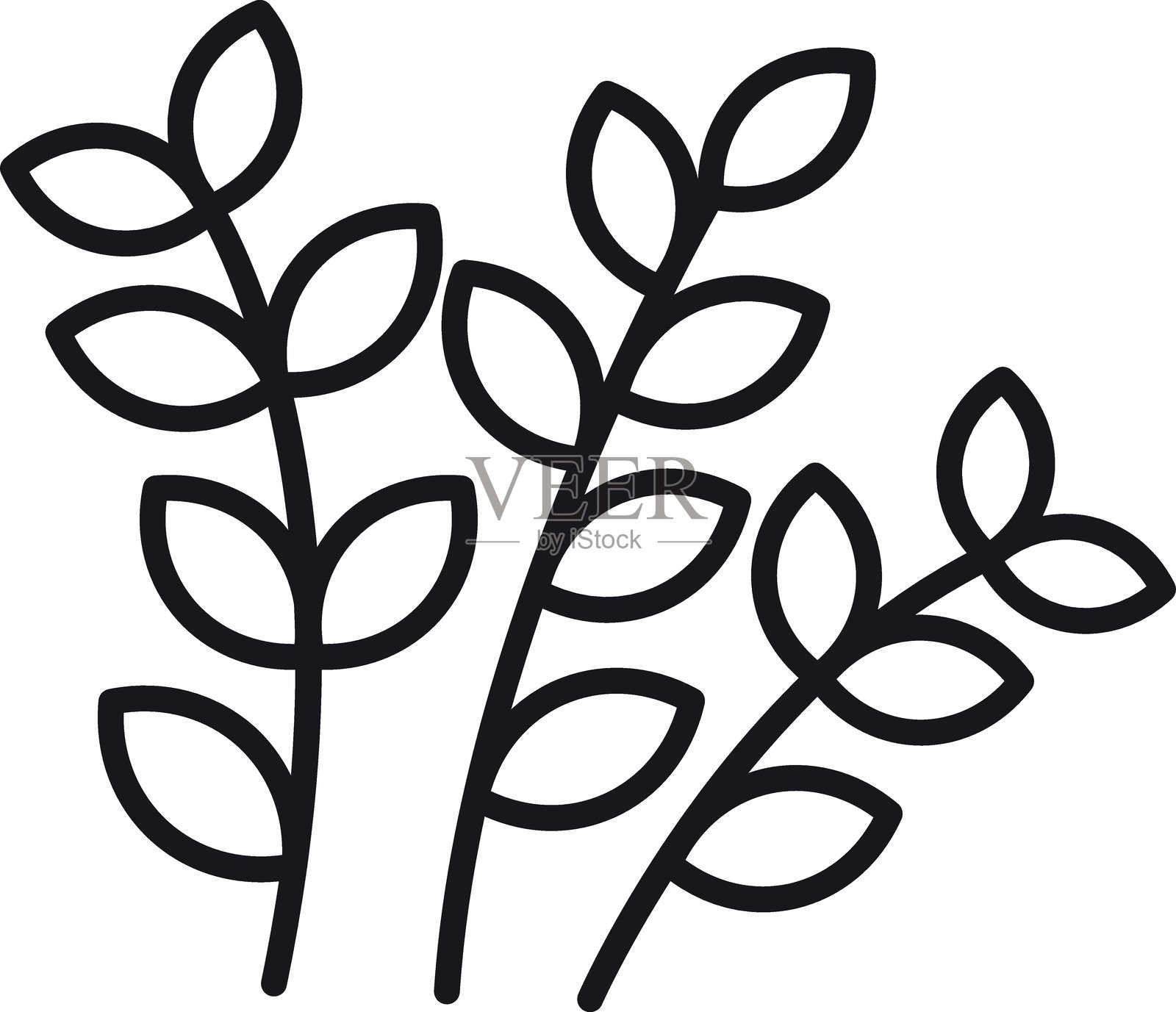 黑白植物叶子和茎的插图，采用细线风格。插画图片素材