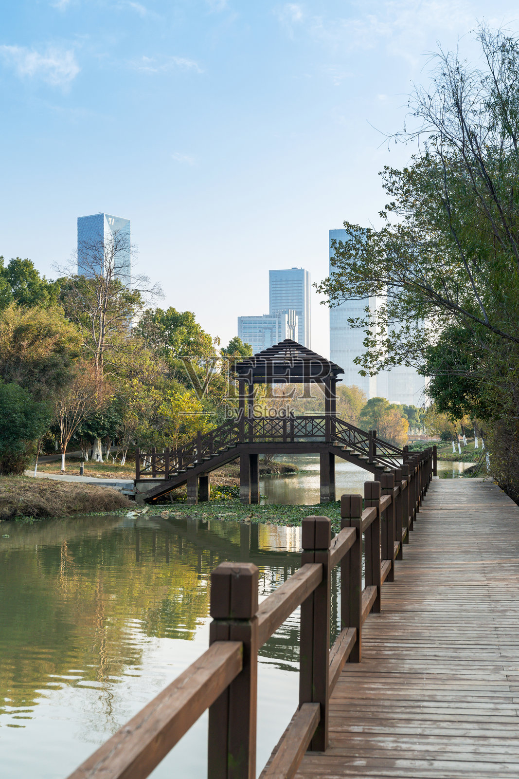 春天的公园与现代城市照片摄影图片