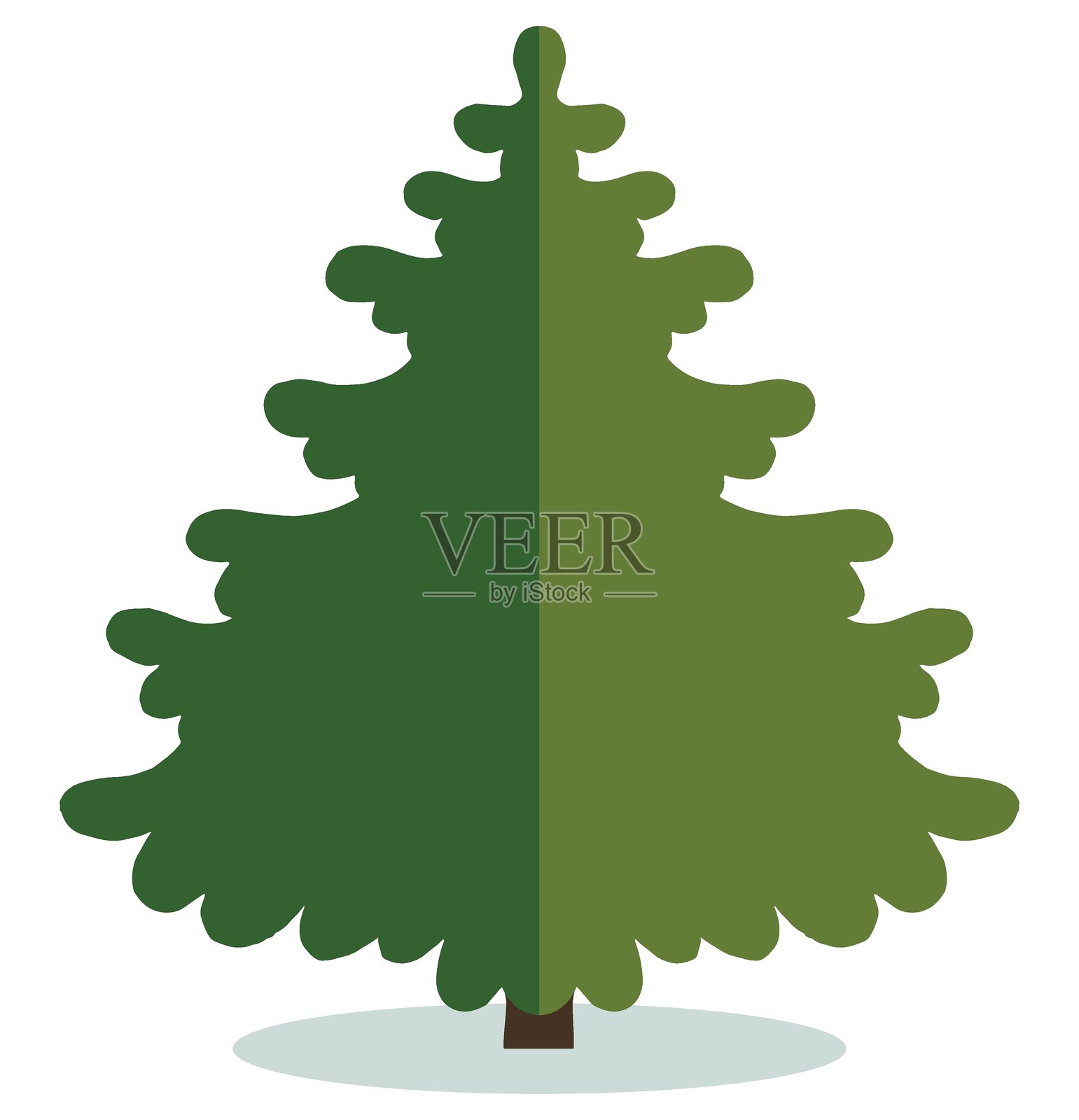 风格化的常青树插图。象征自然、成长和节日季节。非常适合与林业或冬季主题相关的背景、图标和极简设计。插画图片素材