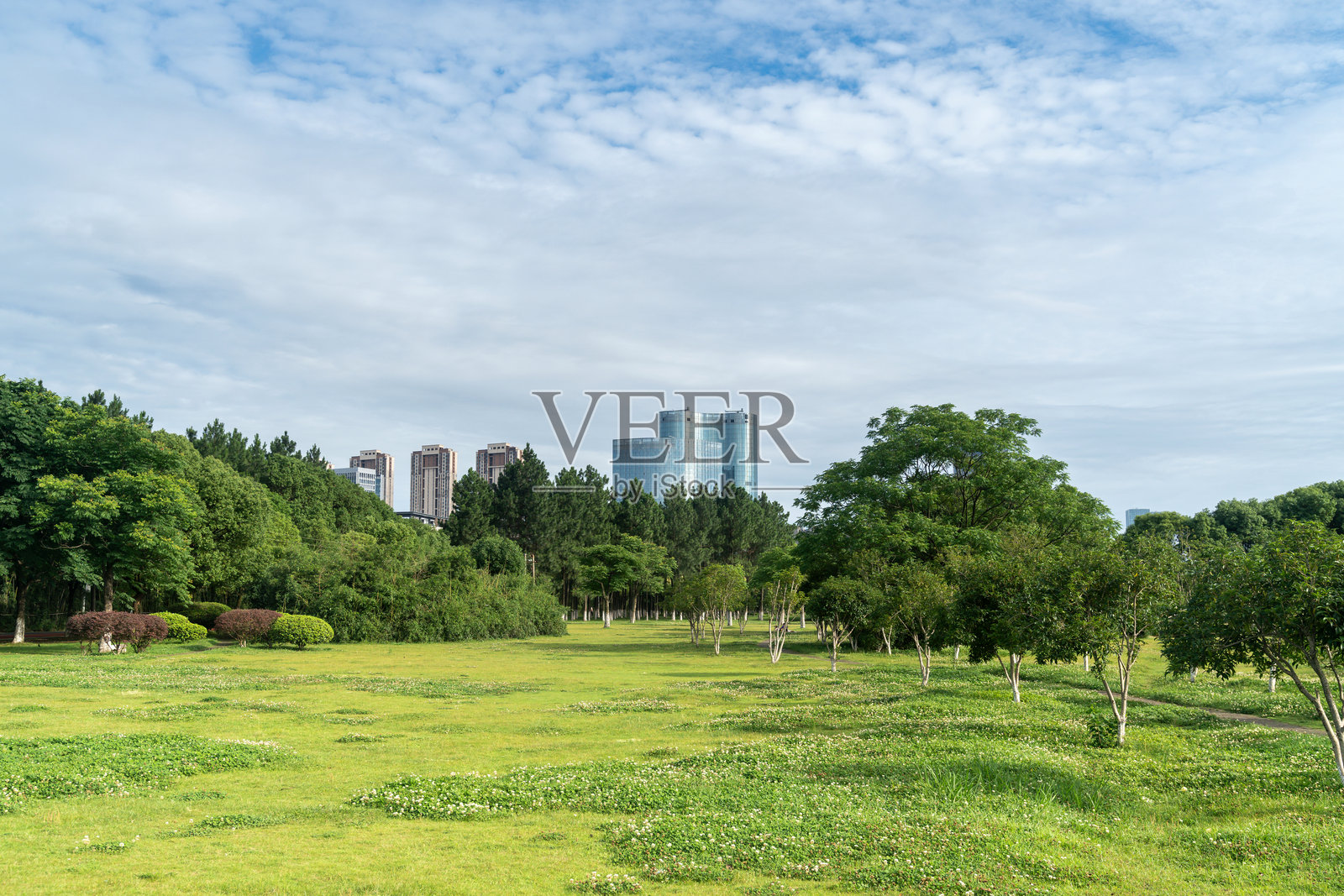 春天的公园与现代城市照片摄影图片