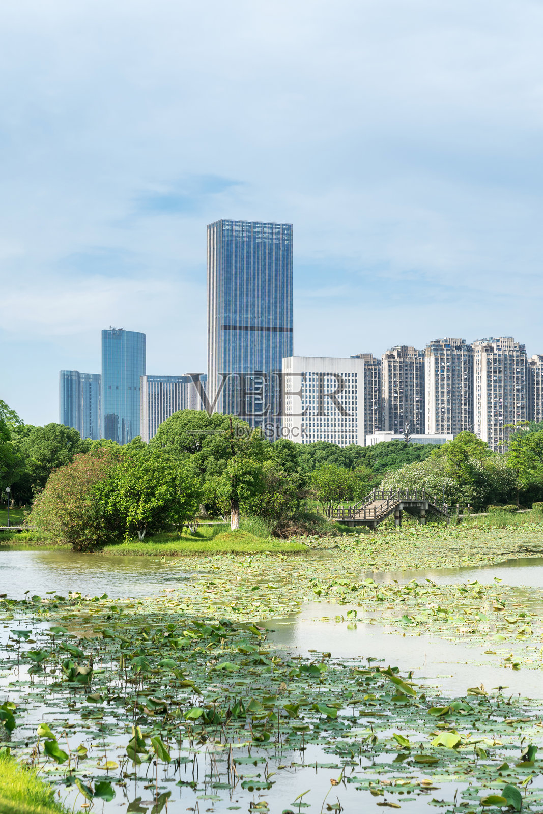 春天的公园与现代城市照片摄影图片