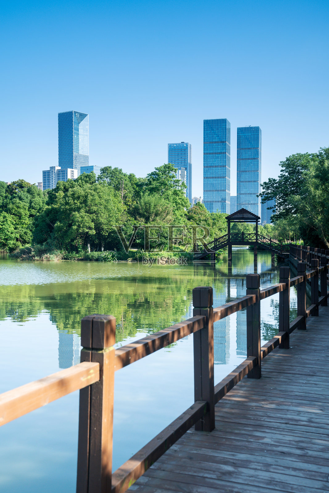 春天的公园与现代城市照片摄影图片