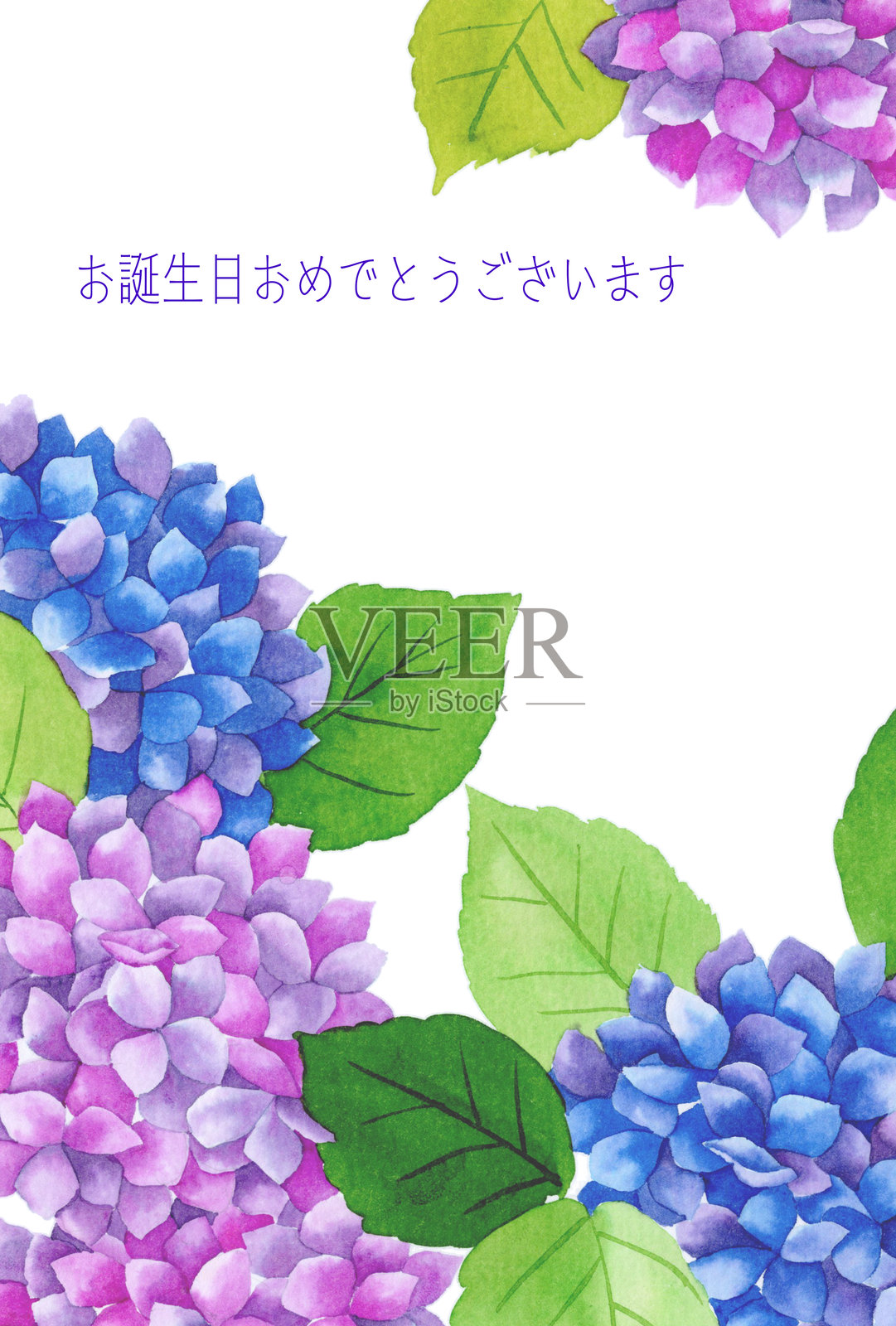 带有水彩效果的绣球花生日卡插画图片素材