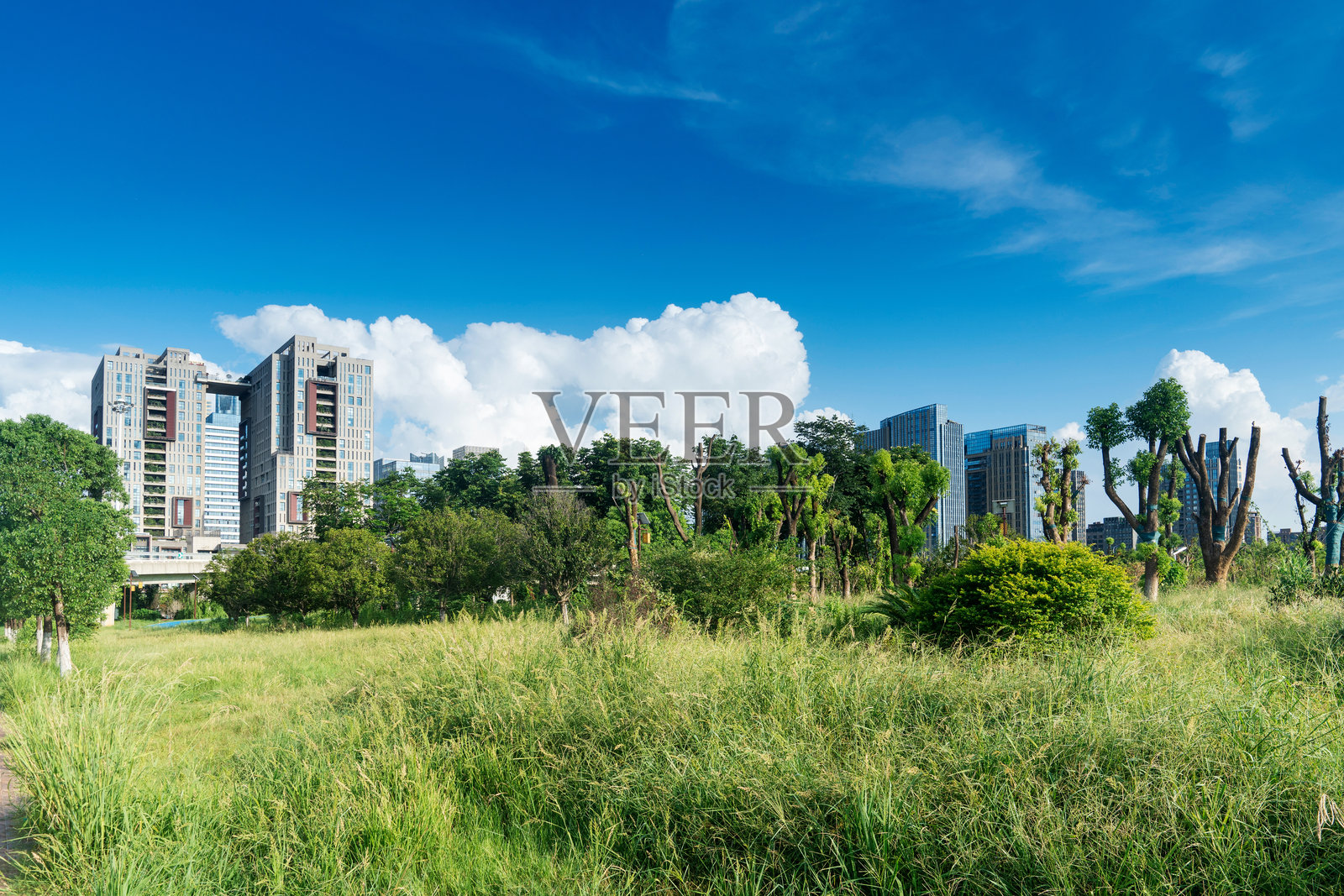 上海现代建筑背景下的城市公园照片摄影图片