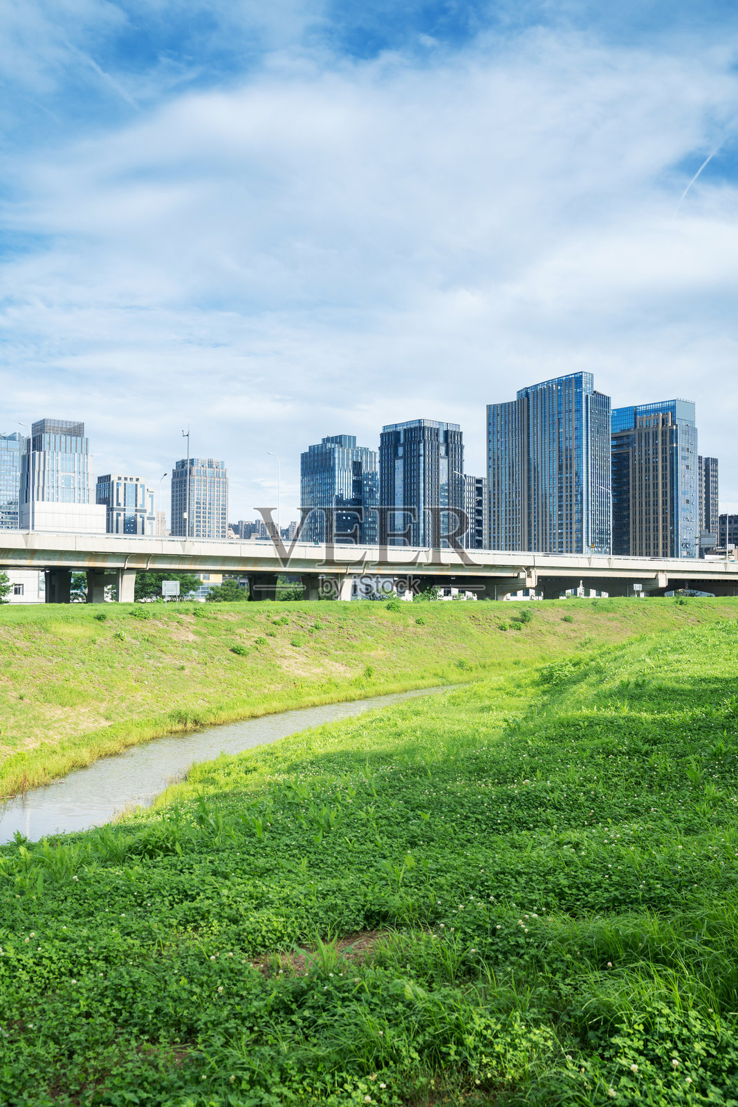 城市中心公园里的花田与现代城市照片摄影图片