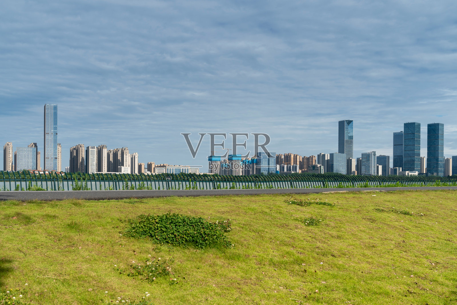 城市中心公园里的花田与现代城市照片摄影图片