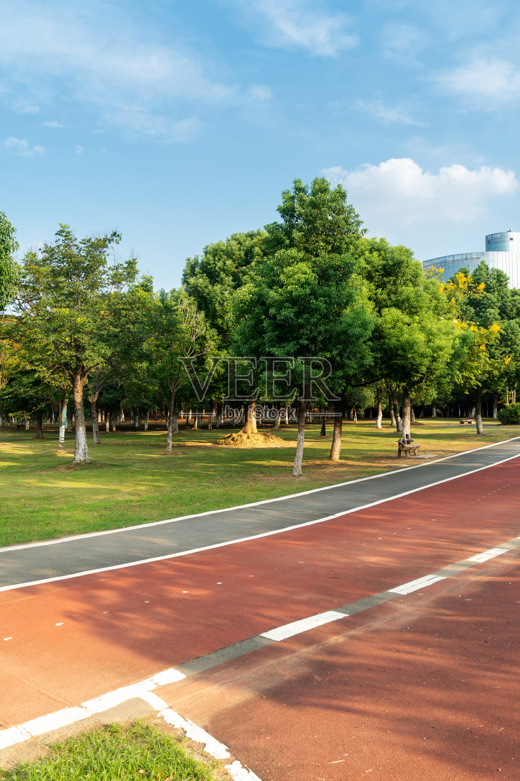 公园内新修的步道和美丽的树木，适合跑步、散步和骑行放松。照片摄影图片