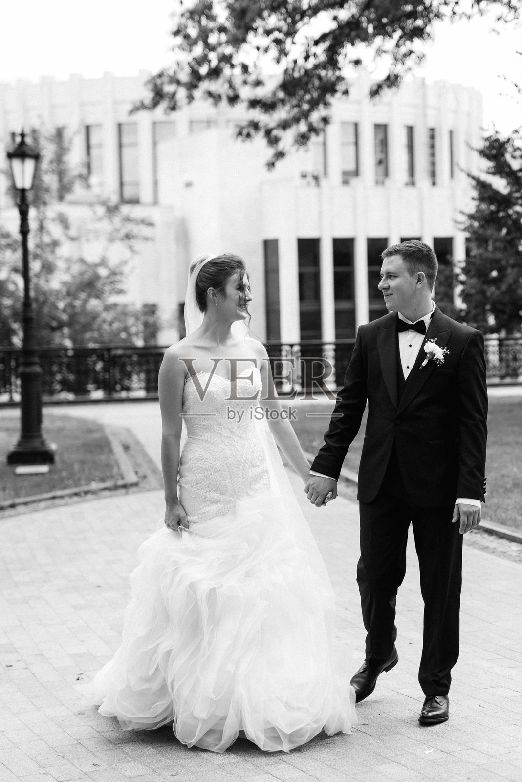 新郎穿着棕色西装，新娘穿着白色婚纱。照片摄影图片