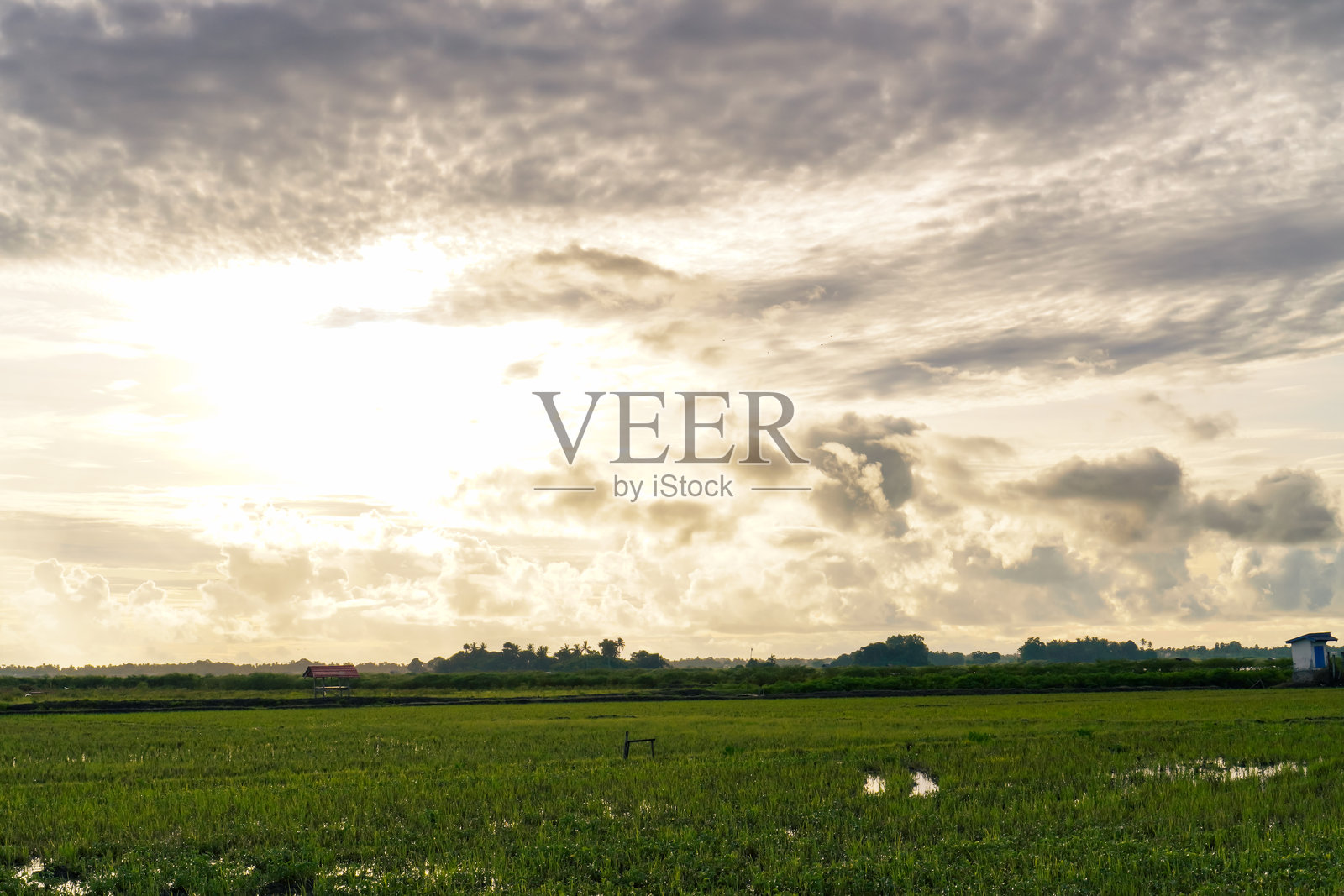 明亮的阳光洒在宽阔的田野上，天空布满云彩照片摄影图片