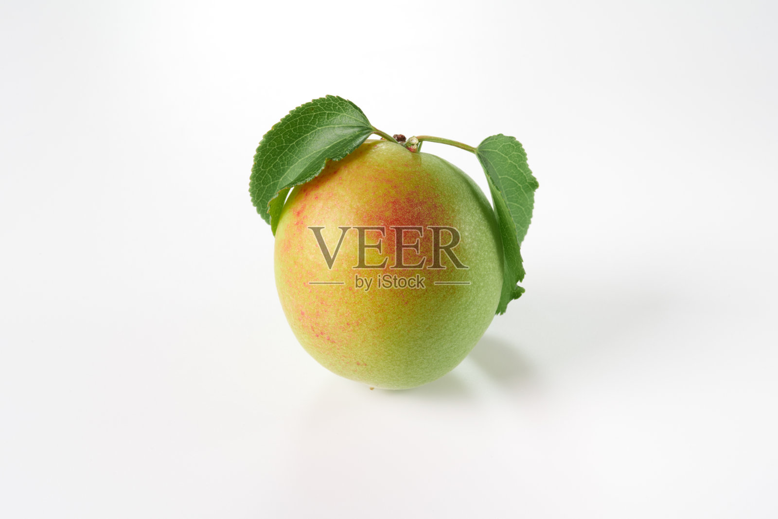 新鲜采摘的青梅在白色背景上照片摄影图片