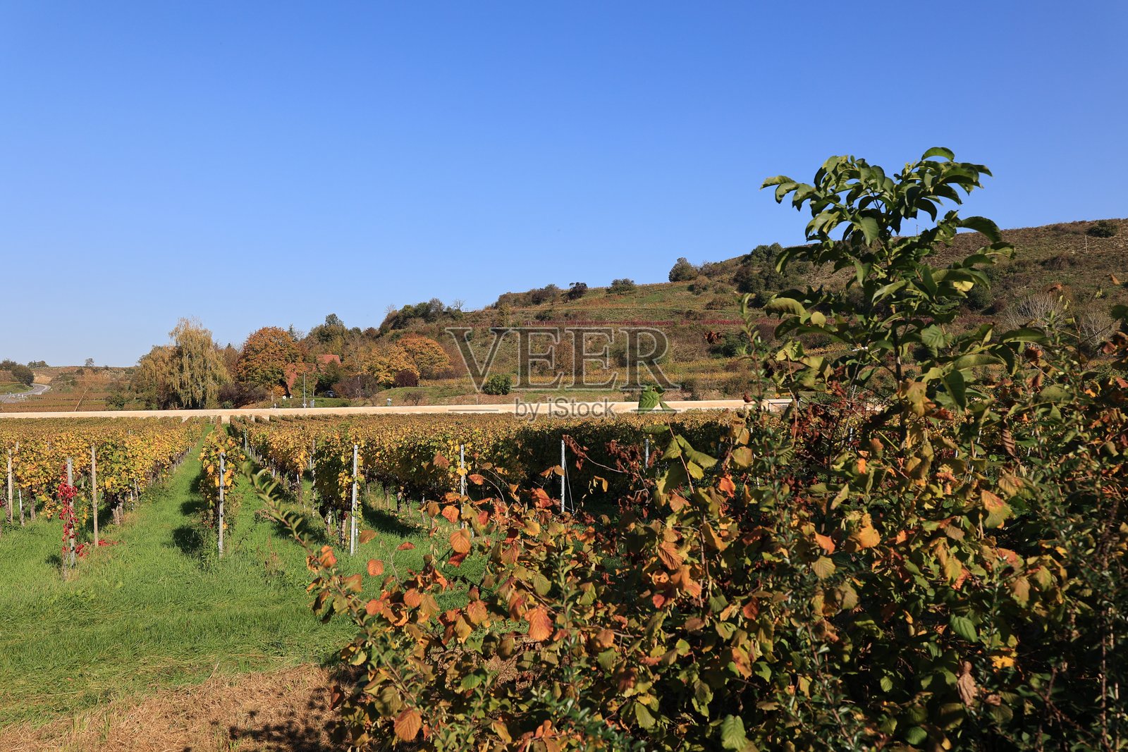 巴登-符腾堡州凯瑟斯图尔的印象照片摄影图片