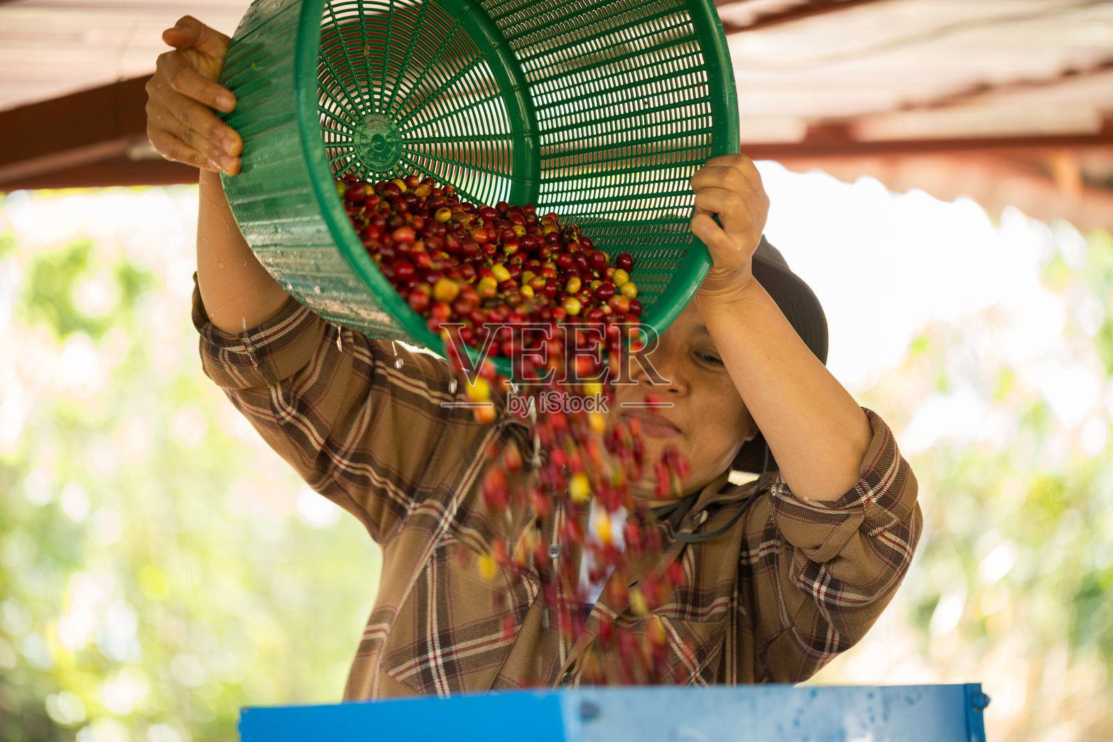 特写聪明农民使用的咖啡豆机械烘焙设备，阳光下的干燥工具，阳光照射下的新鲜花园农产品，促进农民概念，模糊背景的农场。照片摄影图片