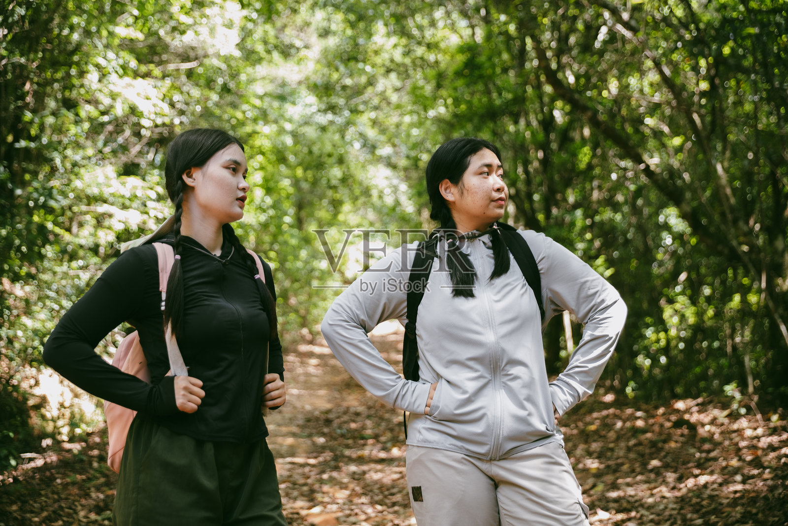 两个背着背包的女性朋友在乡村度假徒步旅行。亚洲女孩背包客在森林中一起旅行。她们在阳光明媚的日子里快乐地享受徒步旅行。照片摄影图片