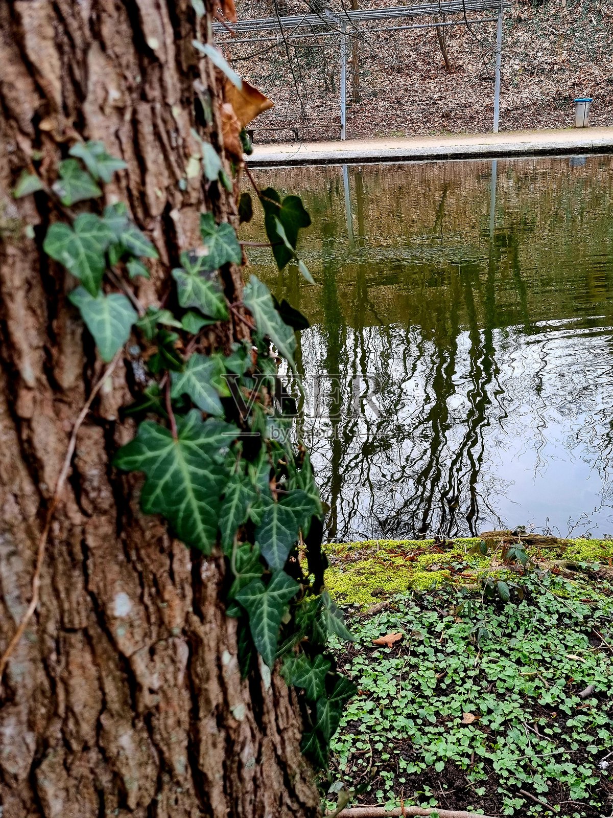 美丽的自然，风景，野生自然照片摄影图片