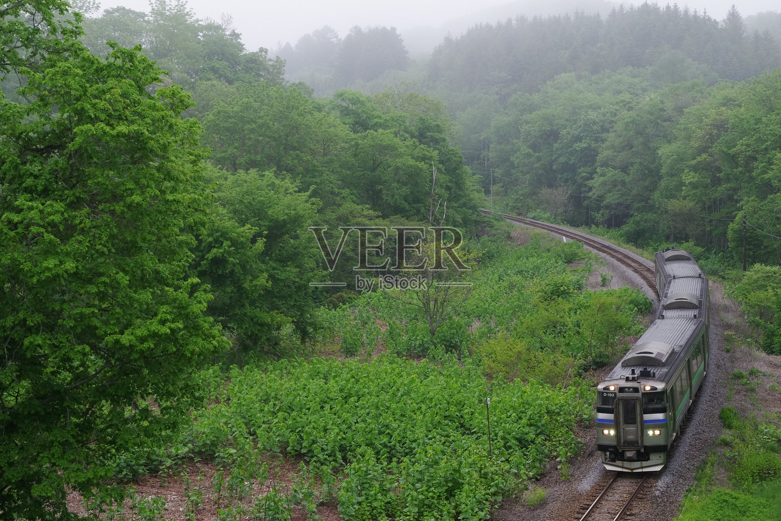 KIHA 201 停运列车在弯道上行驶照片摄影图片