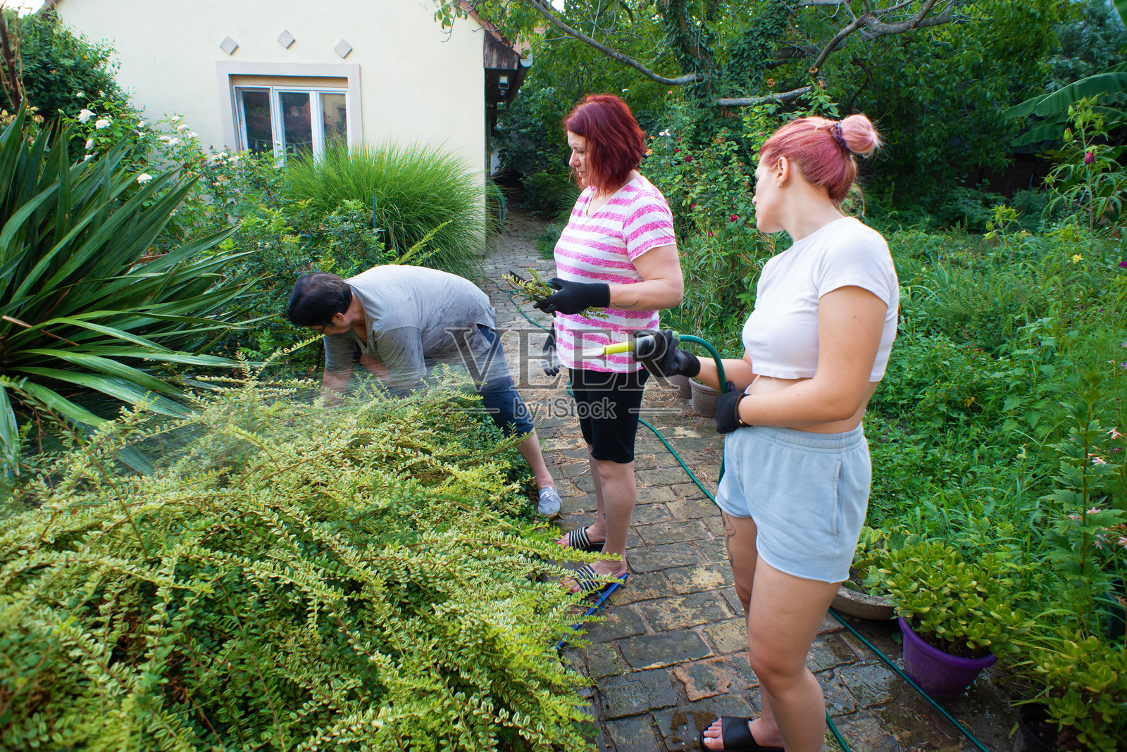 三代同堂的家庭在清理后院和园艺照片摄影图片