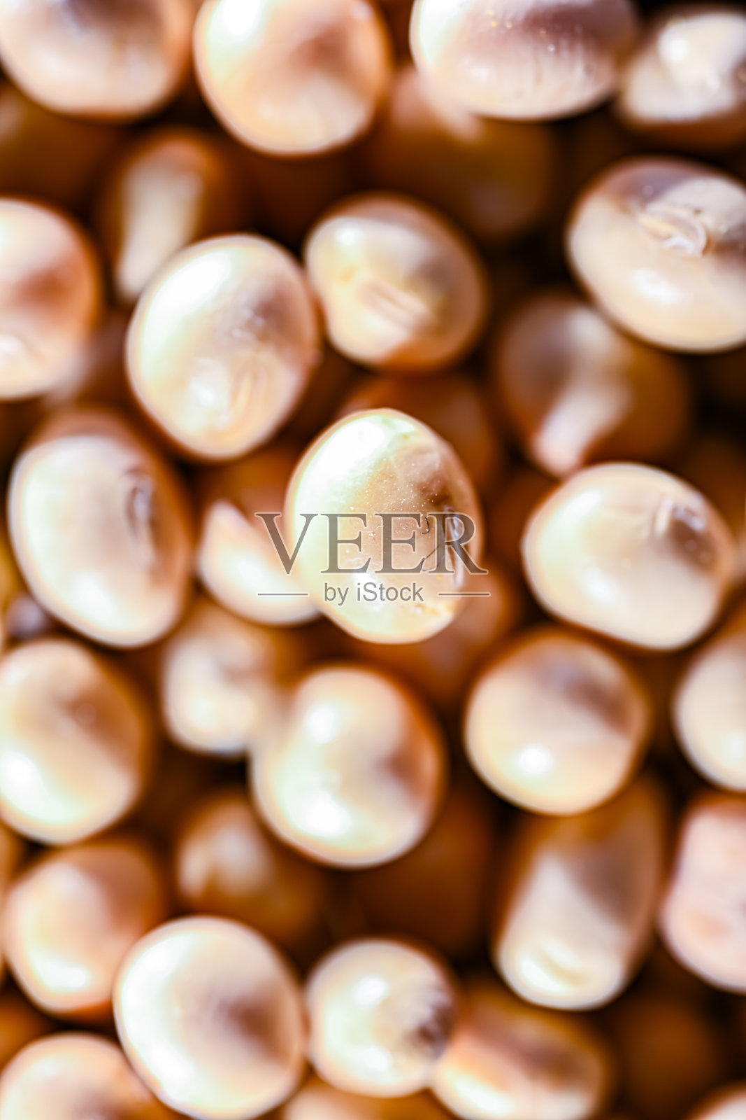 大豆特写镜头照片摄影图片