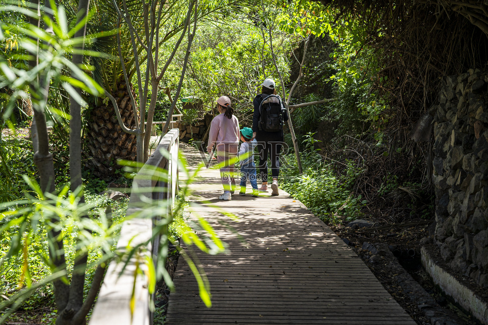 母亲和两个孩子在森林的小路上散步。照片摄影图片