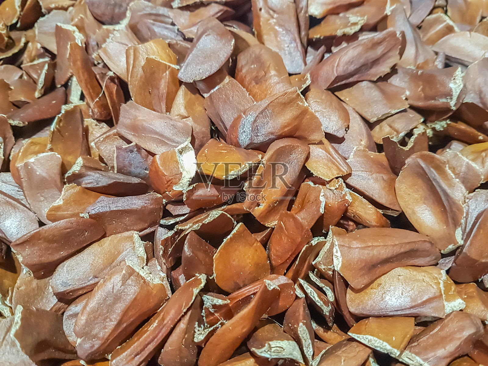 一堆马霍尼木或红木（Swietenia macrophylla）照片摄影图片