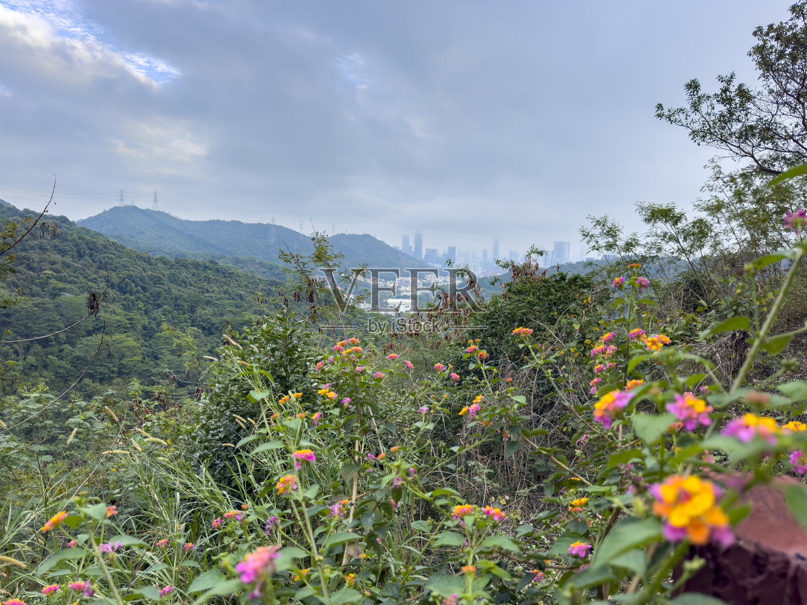 中国广东省深圳市银湖山乡村公园的景色照片摄影图片
