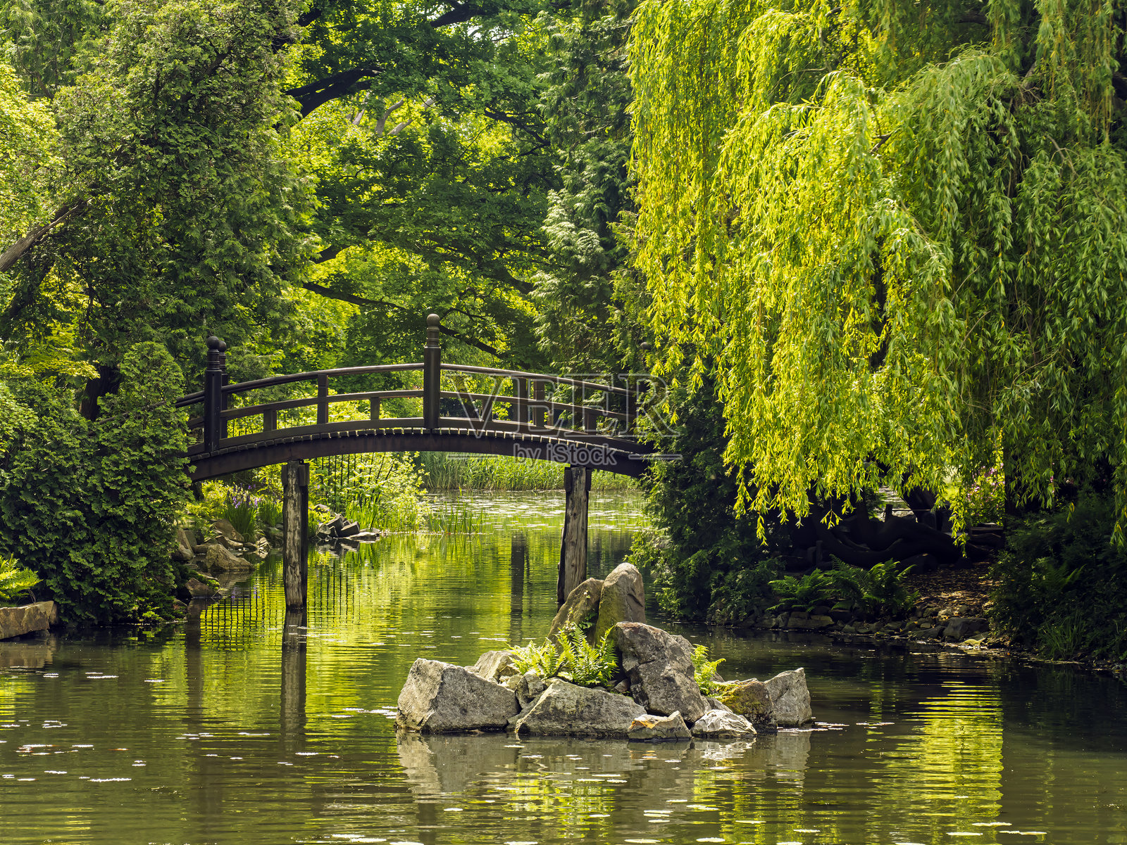 风景如画的桥梁横跨宁静的池塘，四周环绕着郁郁葱葱的绿植照片摄影图片