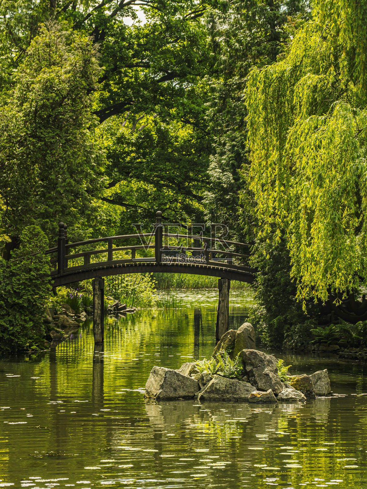 风景如画的桥梁横跨宁静的池塘，四周环绕着郁郁葱葱的绿植照片摄影图片