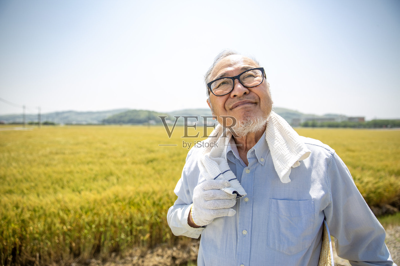 中暑，农业，年长的日本男性遭受高温，全球变暖照片摄影图片