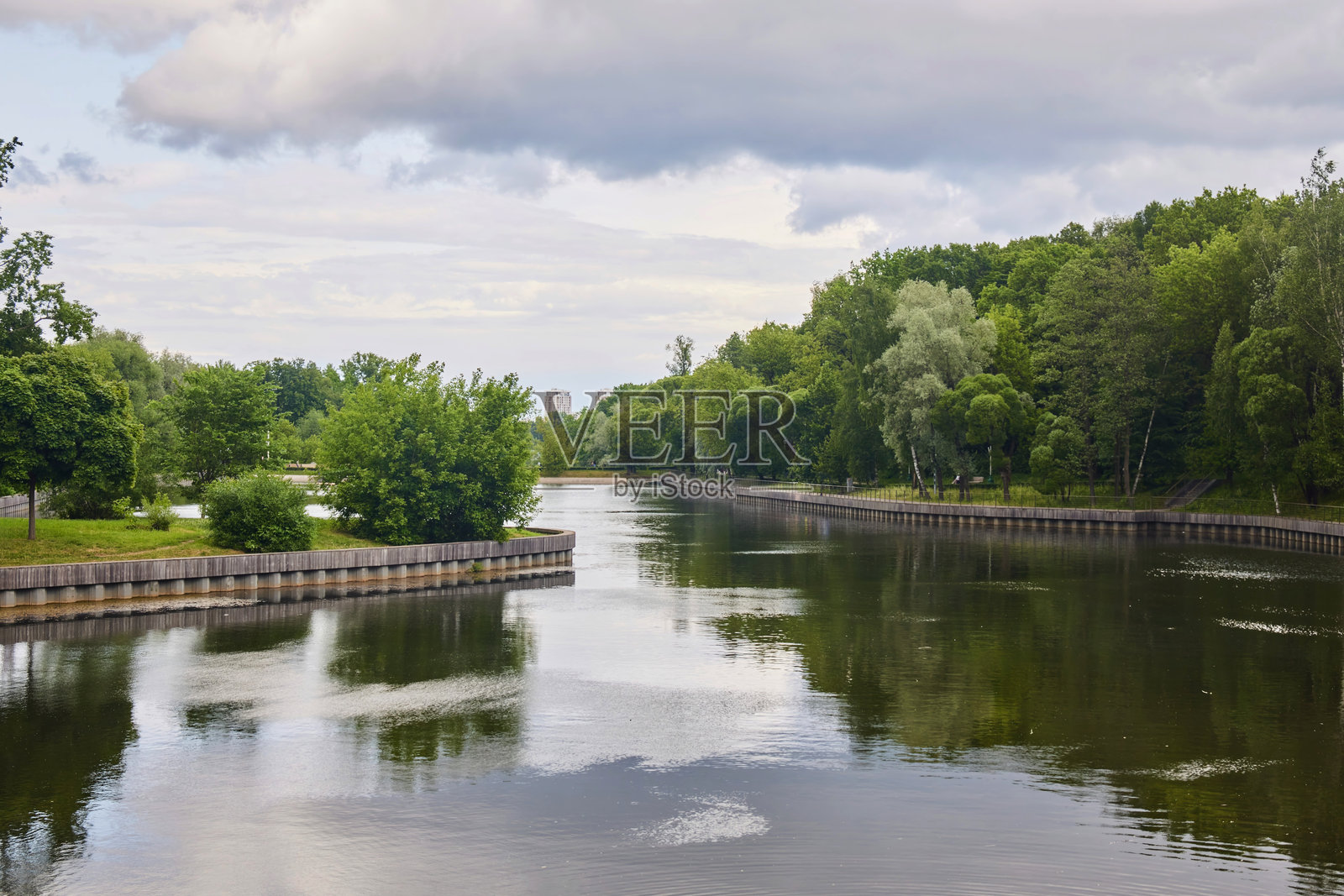 植物园中的池塘。现在是夏季。照片摄影图片