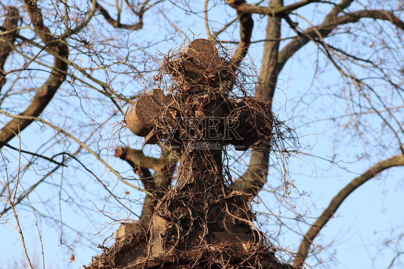 长满杂草的旧十字架照片摄影图片