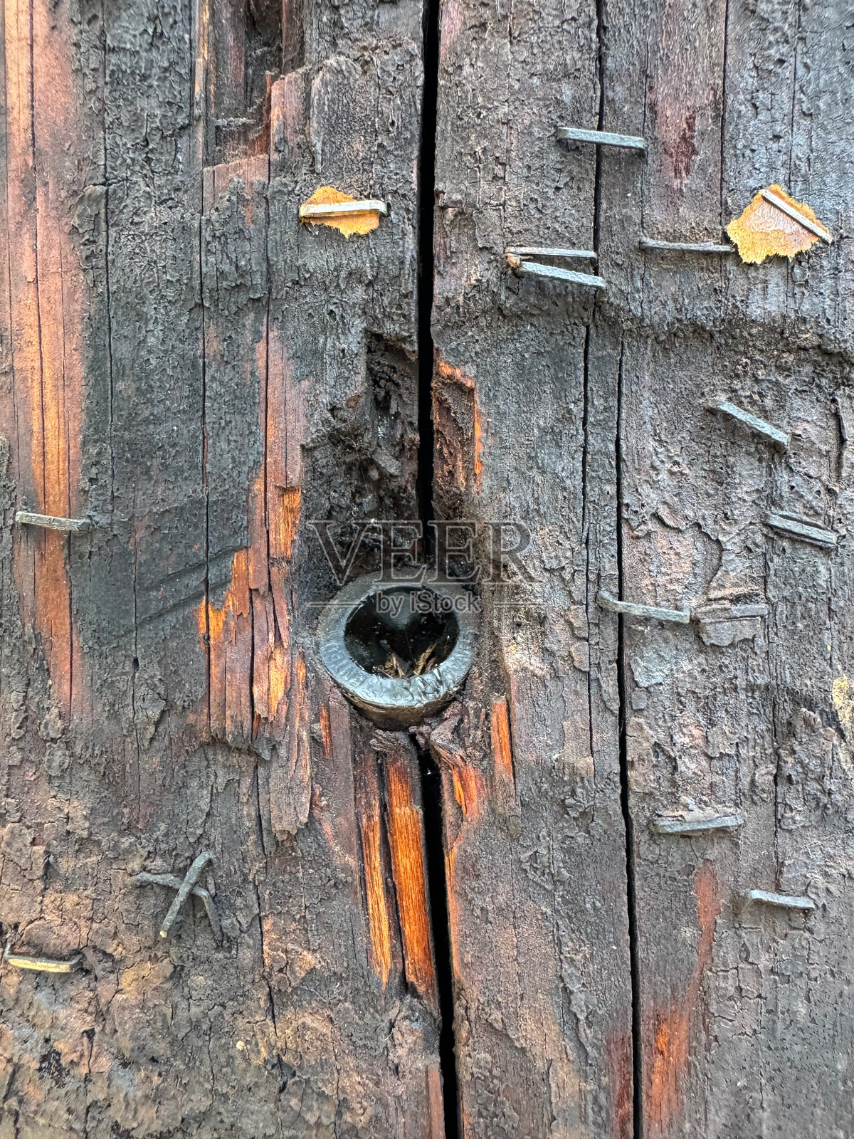 木材抽象背景上的订书钉照片摄影图片