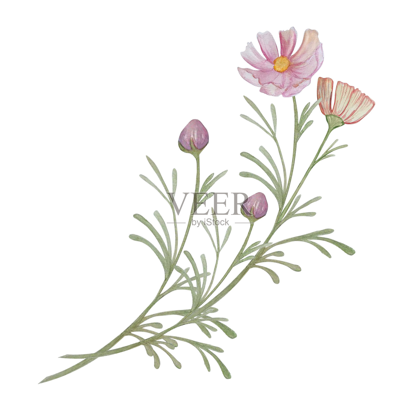 水彩花束插画图片素材