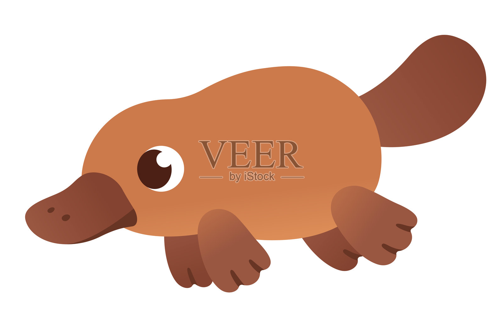 可爱的卡通鸭嘴兽插图插画图片素材