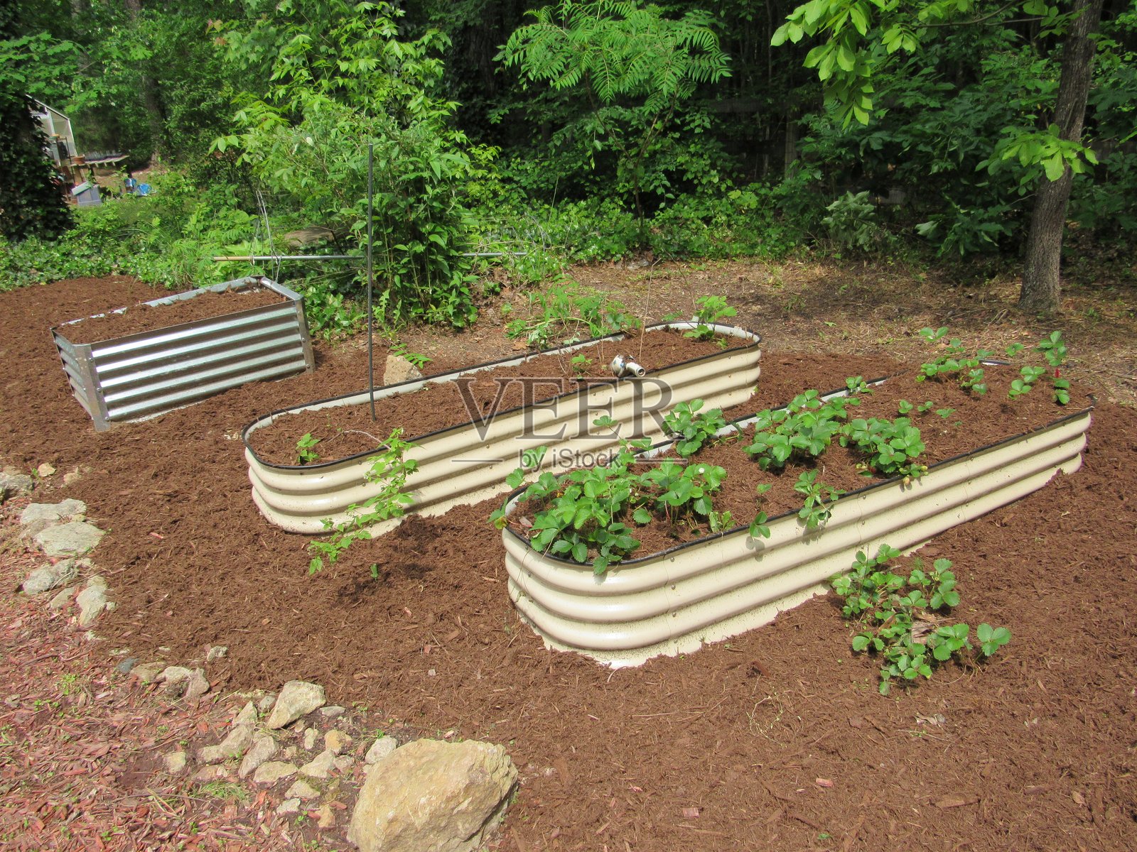 高架床蔬菜园照片摄影图片