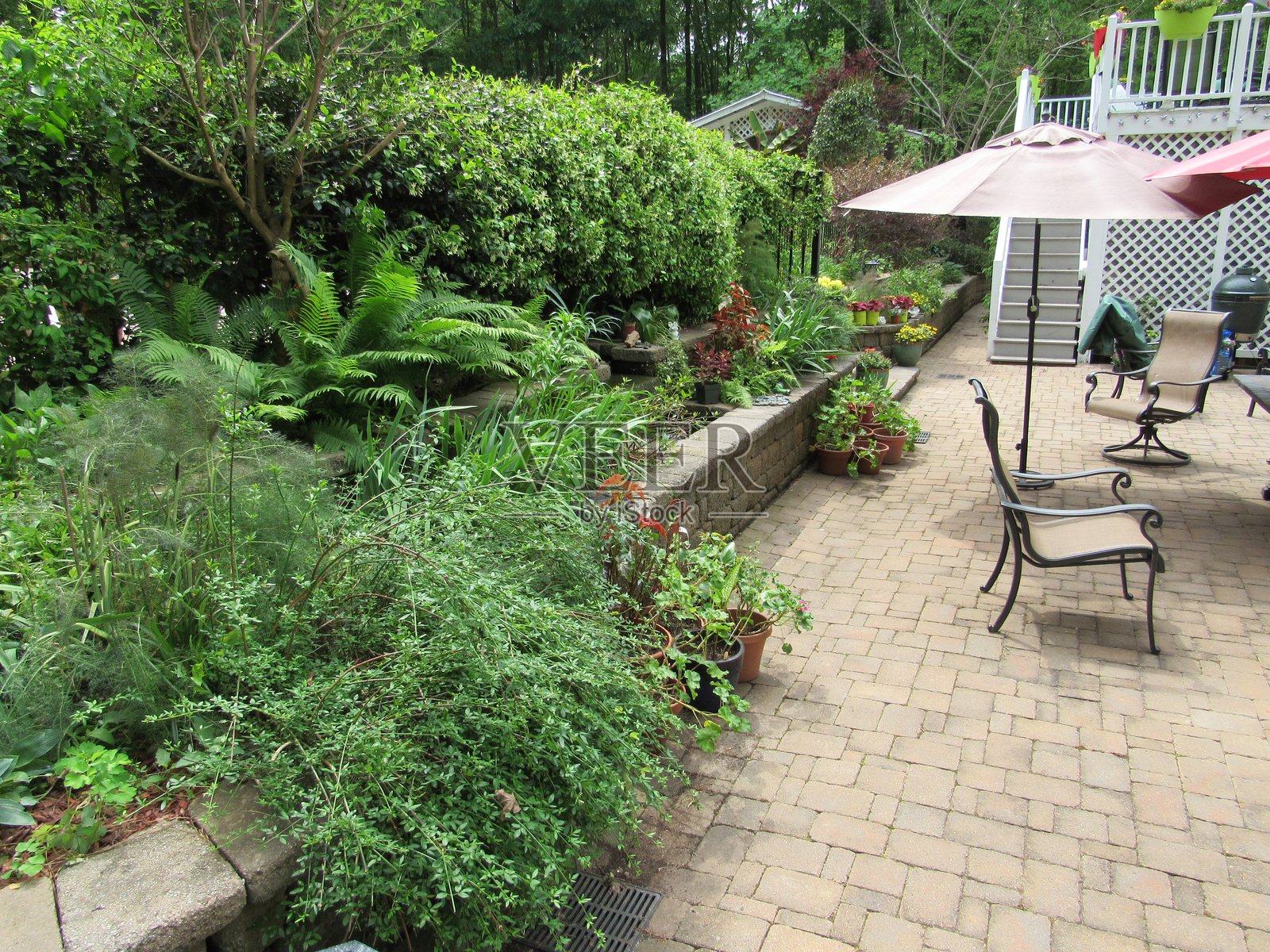 带有露台和挡土墙的花园照片摄影图片