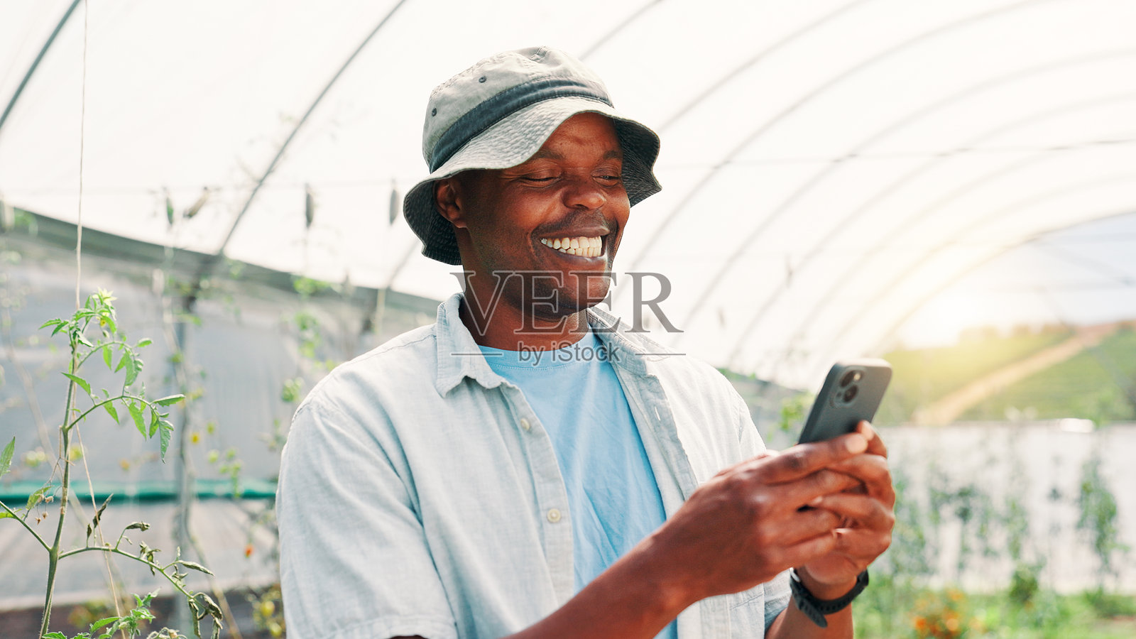 农业，黑人男性微笑着使用手机获取植物信息和收获技巧的应用程序。温室，人与农民使用手机进行在线评审、可持续性和作物生长。照片摄影图片